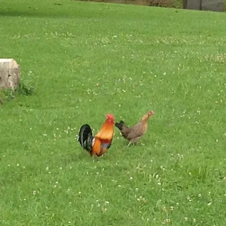 Le Colombier De La Graverie Maison d'hôtes Senots