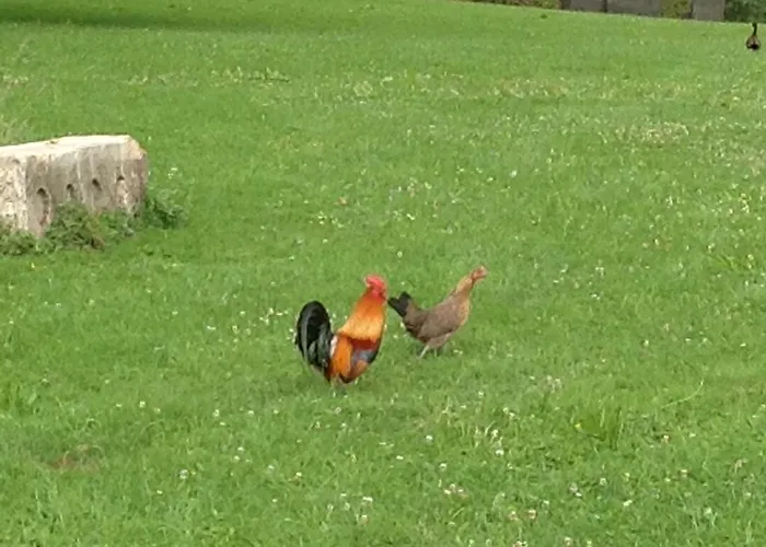 Le Colombier De La Graverie Guest house Senots